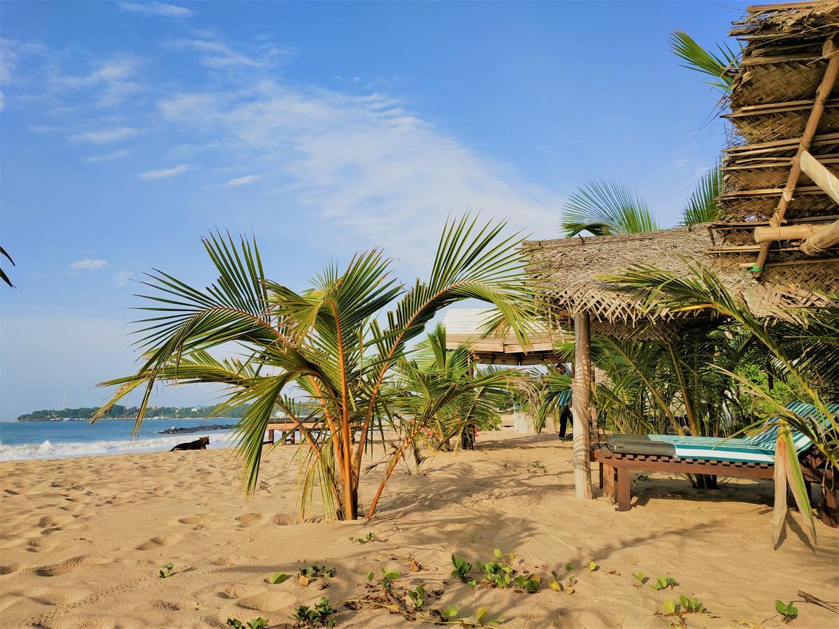 Asha Beach & Spa 탕갈레 외부 사진